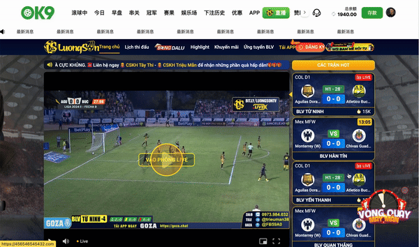 5. Live_D_CN_GIF