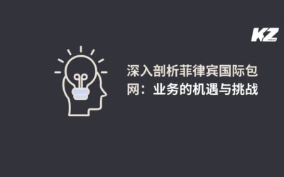 深入剖析菲律宾国际包网：业务的机遇与挑战